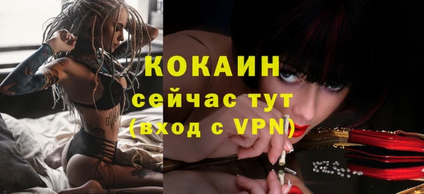 индика Армянск
