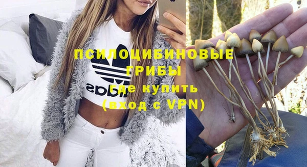 индика Армянск