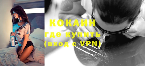 стафф Аркадак