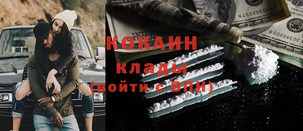 стафф Аркадак