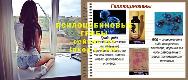 стафф Аркадак