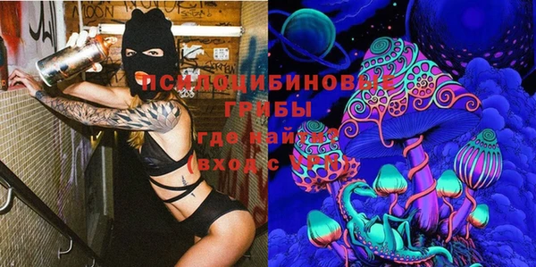 индика Армянск