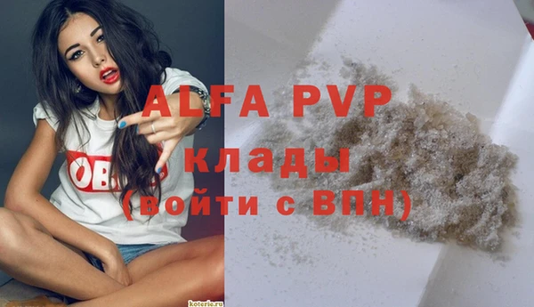 стафф Аркадак